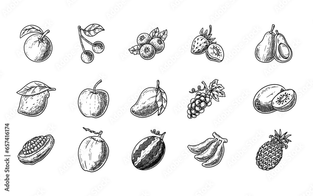 Fototapeta premium Set of Fruits Doodle Vector Element