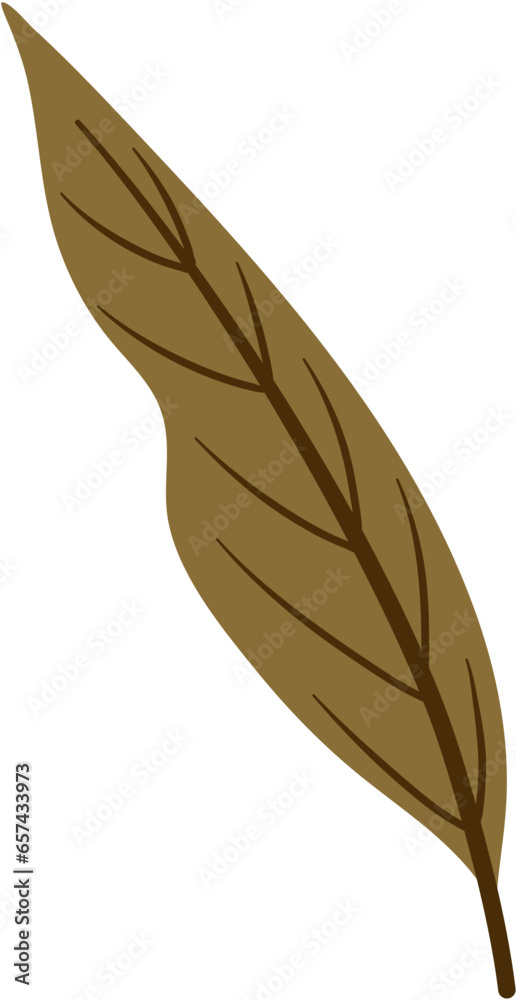 Autumn Leaves Illustration Autumn Leaves Illustration