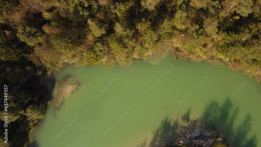 Obraz premium river in the forest