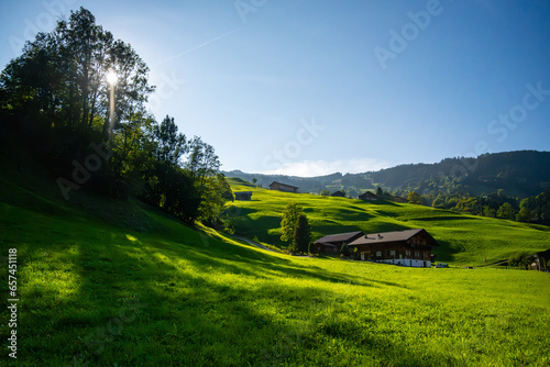 landscape with fields and mountains, Grindelwald, Switzerland, Green Pasture