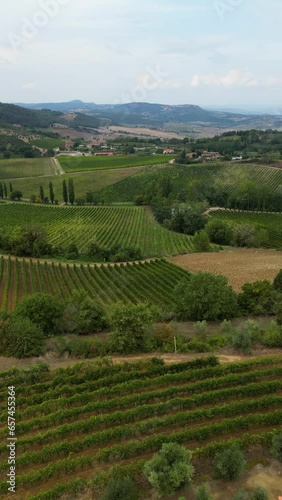 Aerial view of vineyards in Tuscany, Italy
