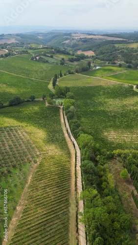 Aerial view of rural path between vineyards in Tuscany, Italy