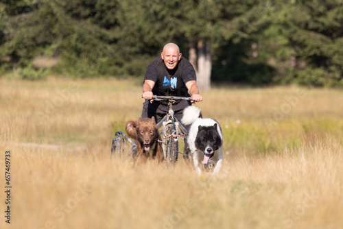 dog team with musher pulling bike