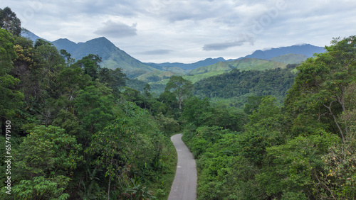Canvas Print The road to the green tropical forest in the interior of the jungle of Aceh, Ind