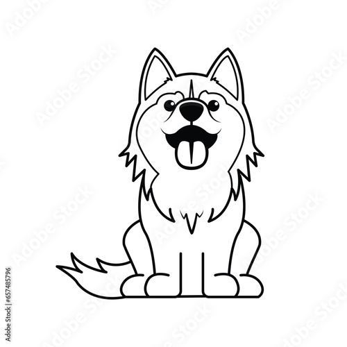 husky dog