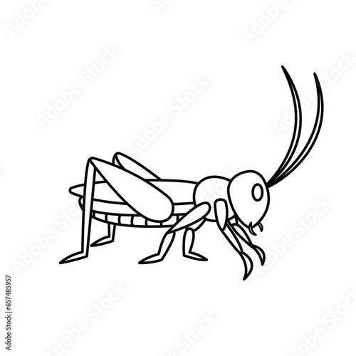 locust or wasp