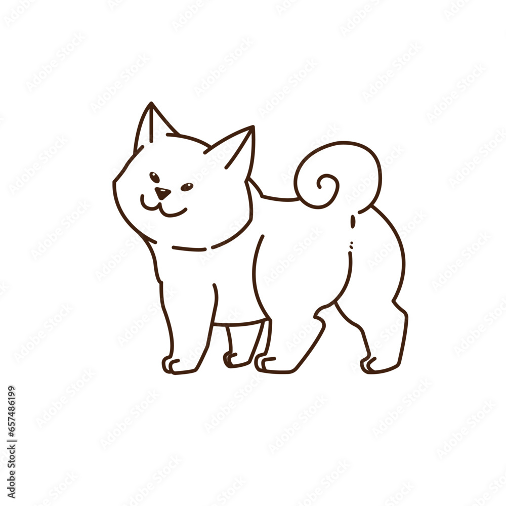 shiba inu shiba inu