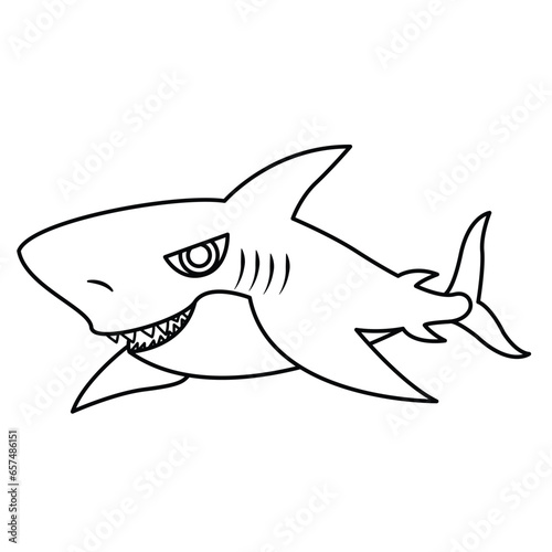 shark illustration