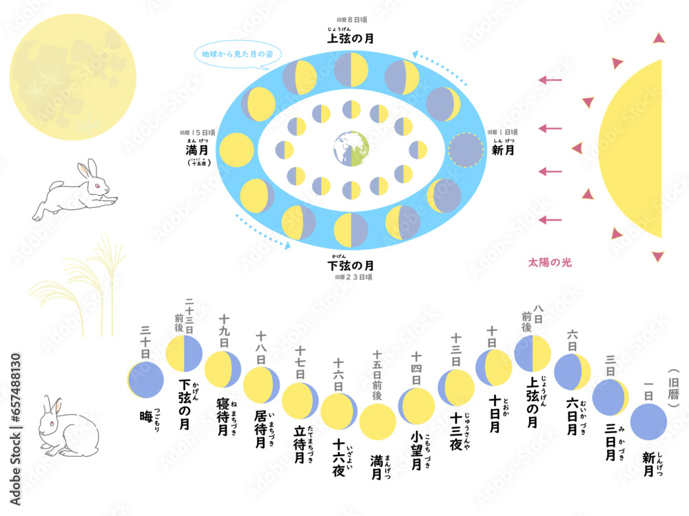 月 満ち欠け 図 セット 月 満ち欠け 図 セット