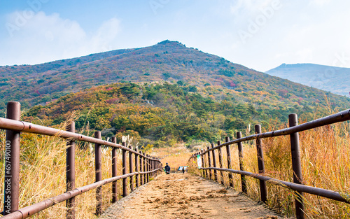 Landscape view of Mount Mudeungsan with colorful leaf during Autumn season in Gwangju, South Korea.  photo