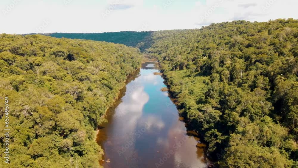 Aerial birds eye flight over Argentinian River surrounded by deep jungle at sunny day, Argentina Aerial birds eye flight over Argentinian River surrounded by deep jungle at sunny day, Argentina