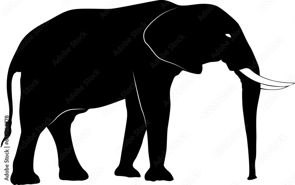 Fototapeta premium elephant africa silhouette