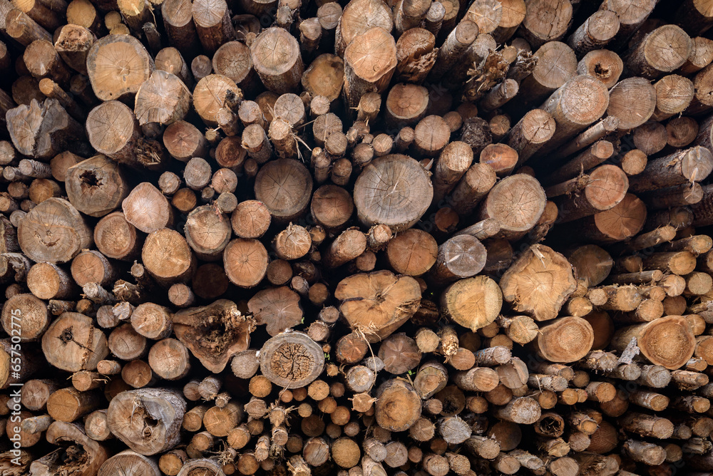 Fototapeta premium Close up of a pile of tree trunks in shades of brown