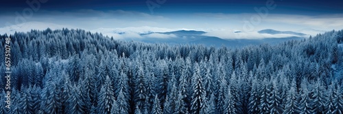 In a wide-format background image, an aerial perspective revealing cloudy mountains towering over a winter forest, presenting a breathtaking panoramic view. Photorealistic illustration