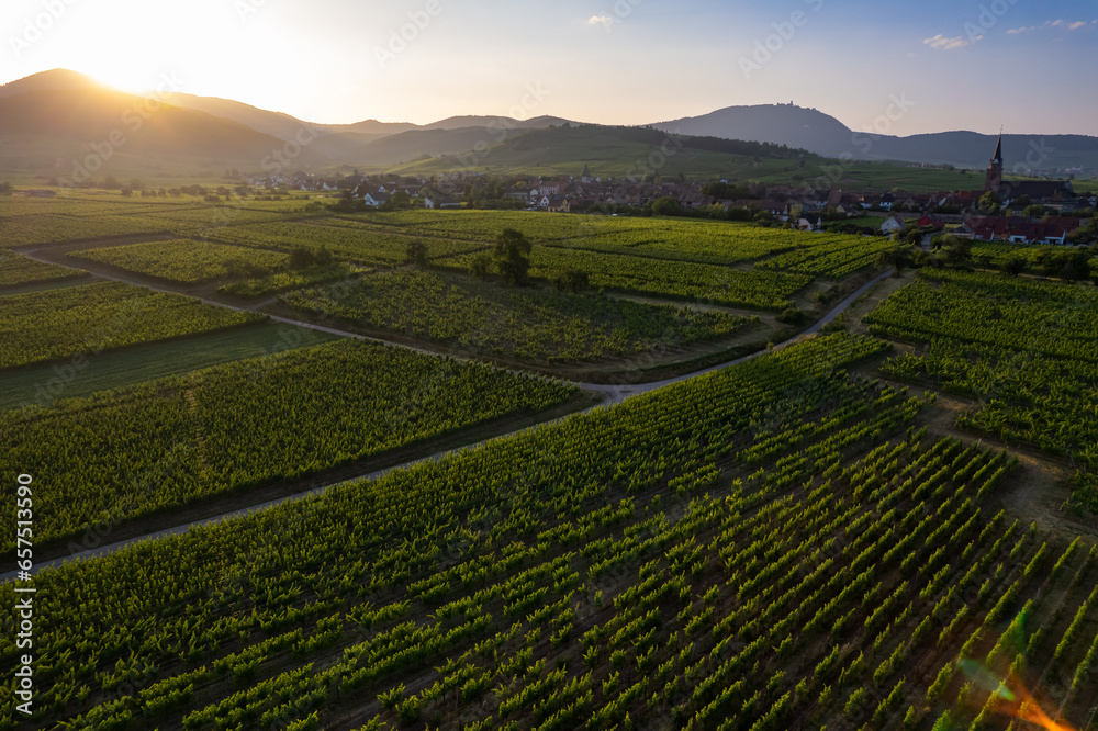 Aerial panoramic view above the beautiful grape vines and vineyards of Alsace France	