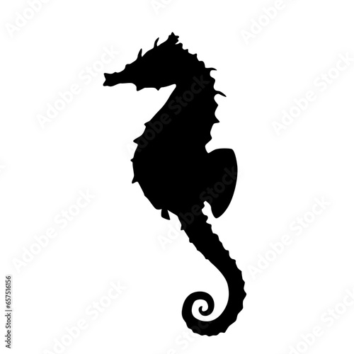 seahorse silhouette
