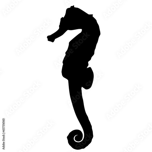 seahorse silhouette
