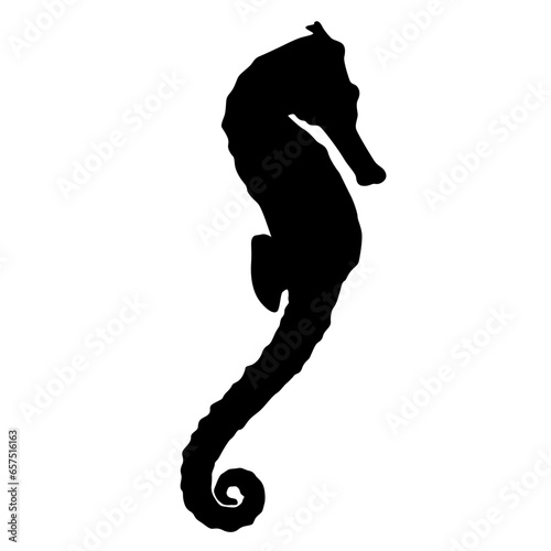 seahorse silhouette
