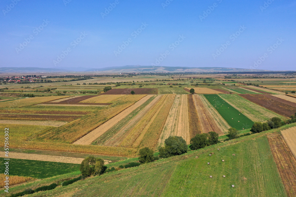 Aerial view of agricultural fields by drone