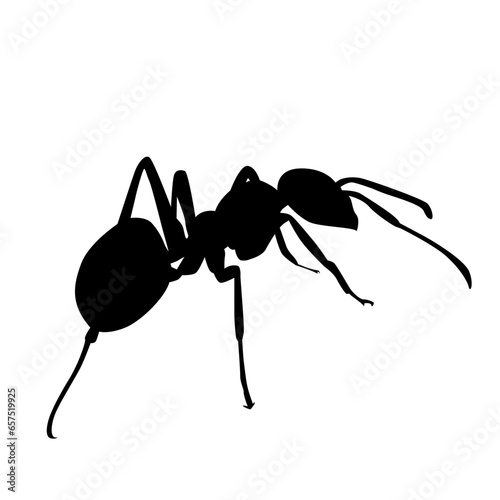 ant silhouette