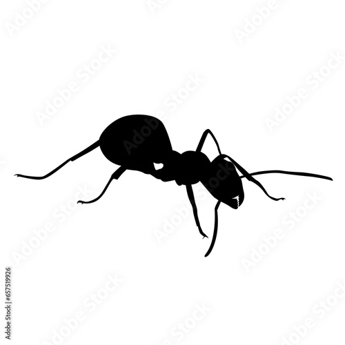 ant silhouette