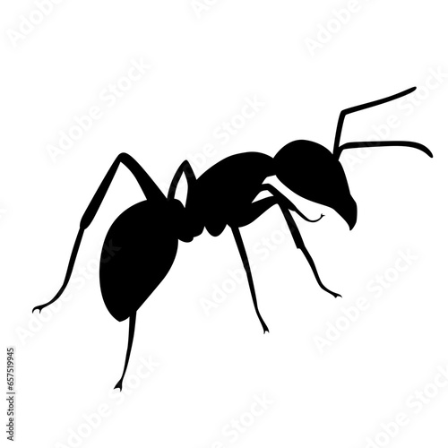 ant silhouette