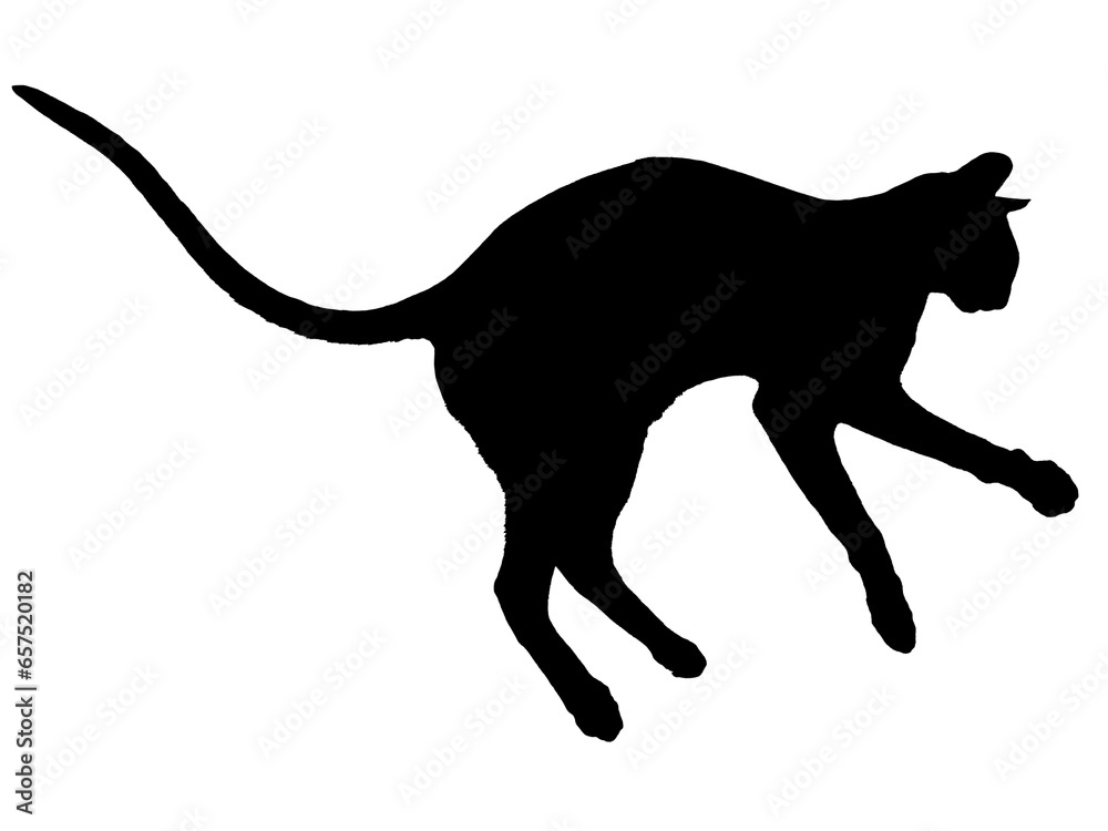 Black oriental cat silhouette with long black tail lying isolated on white background