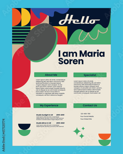 Professional Resume CV Design Templates	