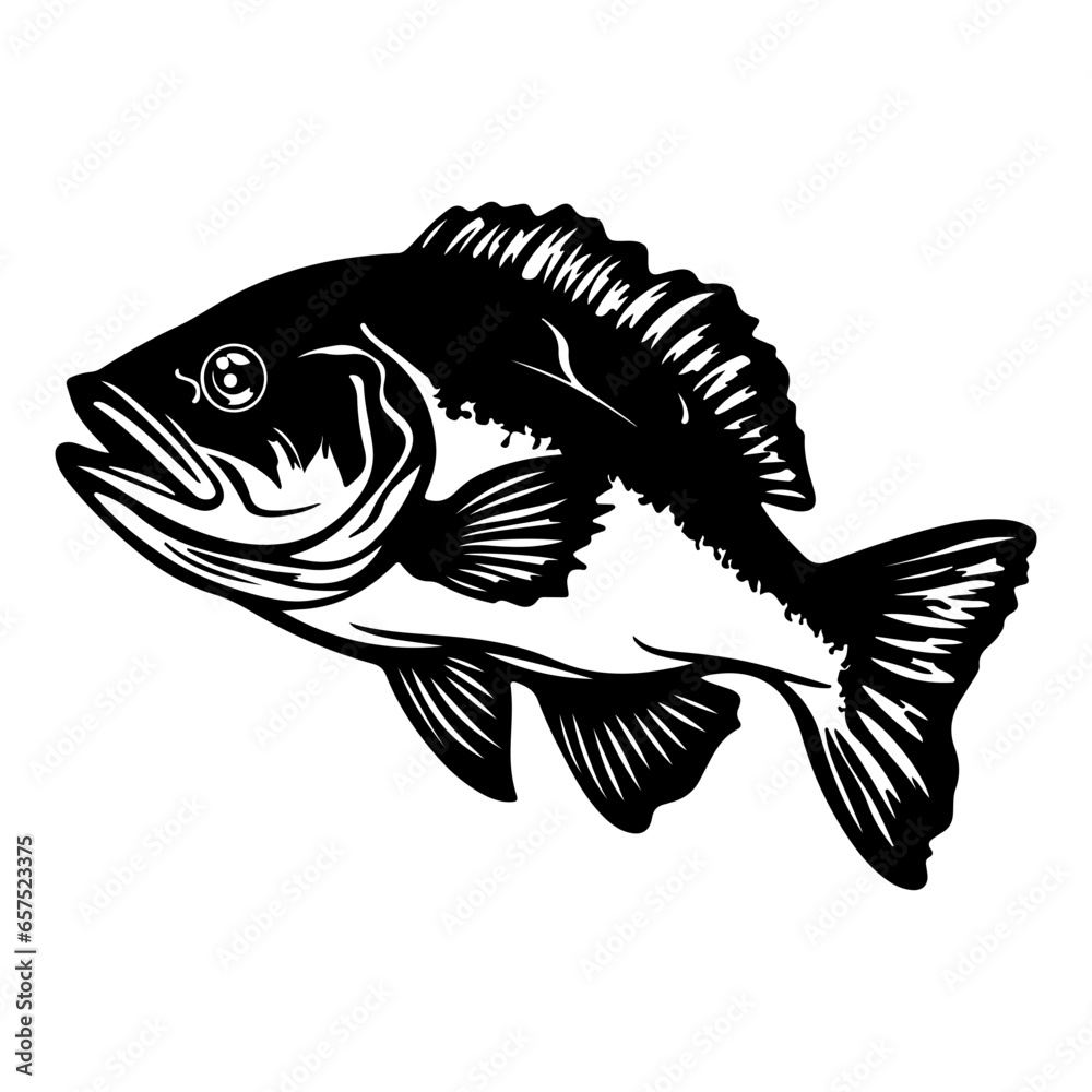 Fishing bass isolated,Hand-drawn. Fishing bass isolated,Hand-drawn.