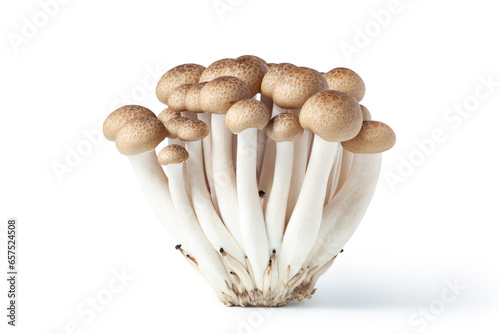 Brown beech mushrooms, Shimeji mushroom on white background.
