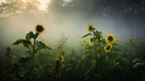 Ghostly view of sunflowers emerging through thick morning fog. Palette: Solar yellows, shadowy greens, and spectral grays