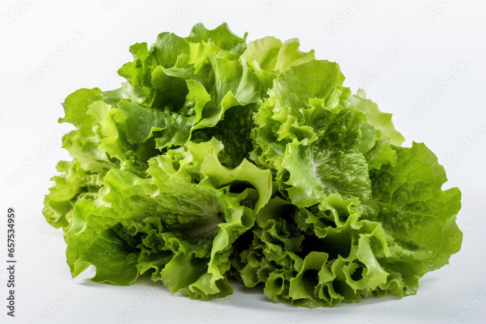 Fresh head of lettuce full of green crispy leaves Fresh head of lettuce full of green crispy leaves