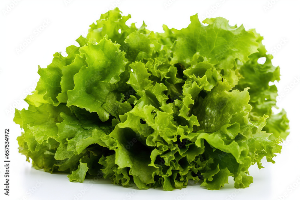 Fresh head of lettuce full of green crispy leaves Fresh head of lettuce full of green crispy leaves