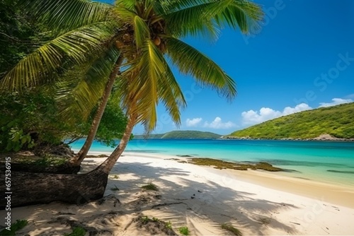 Scenic beach with turquoise waters  golden sand  sunny sky  palm trees  paradise nature  summer getaway  travel. Generative AI