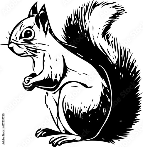 squirrel on a branch | vector illustration black and white | Silhouette of squirrel with nut