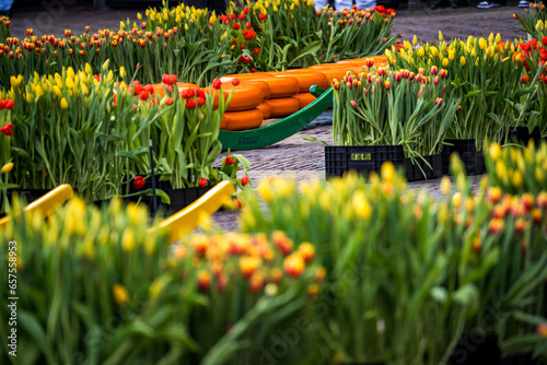 flowers and cheese at alkmaar cheese market photo