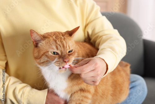 Woman giving vitamin pill to cute ginger cat on couch indoors, closeup