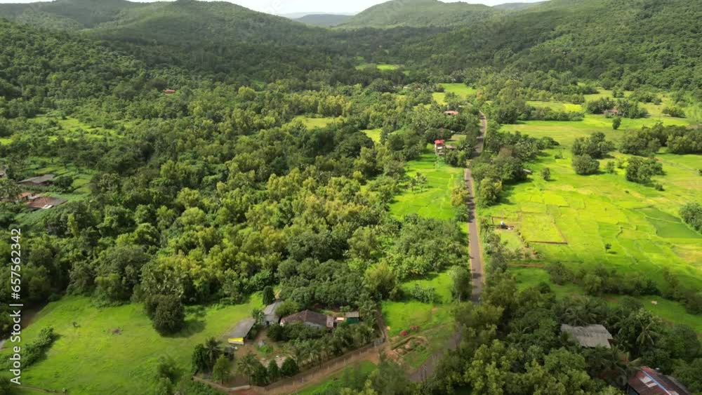 greenery forest hyper-lapse drone view greenery forest hyper-lapse drone view