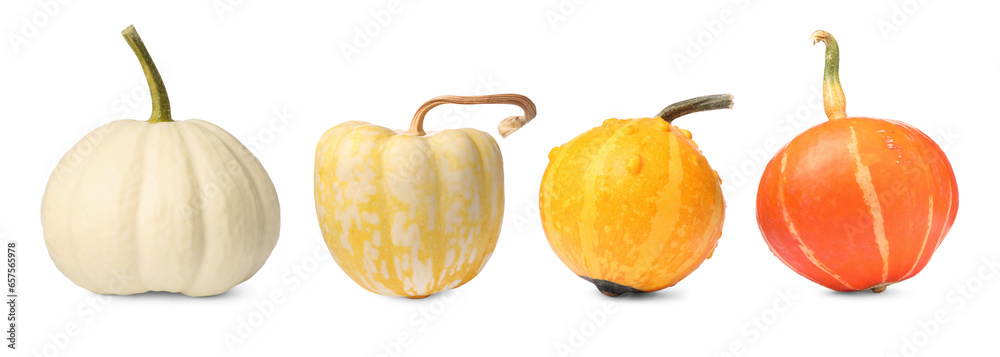 Set of different pumpkins isolated on white Set of different pumpkins isolated on white