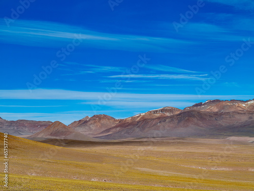 scenic laguna colorada in Bolivia