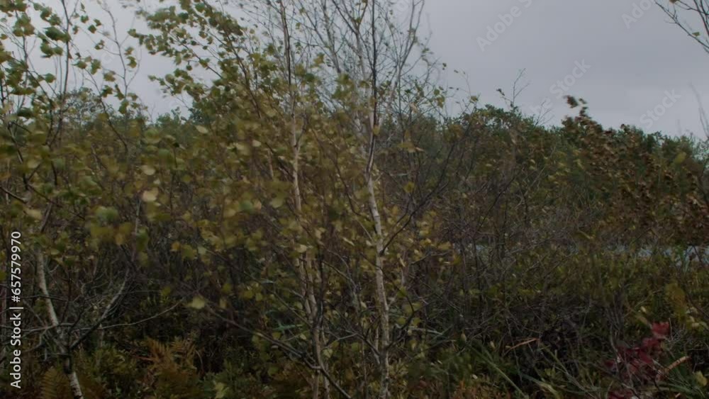 The city of Dartmouth was hit by a strong hurricane in Nova Scotia 2023 The city of Dartmouth was hit by a strong hurricane in Nova Scotia 2023
