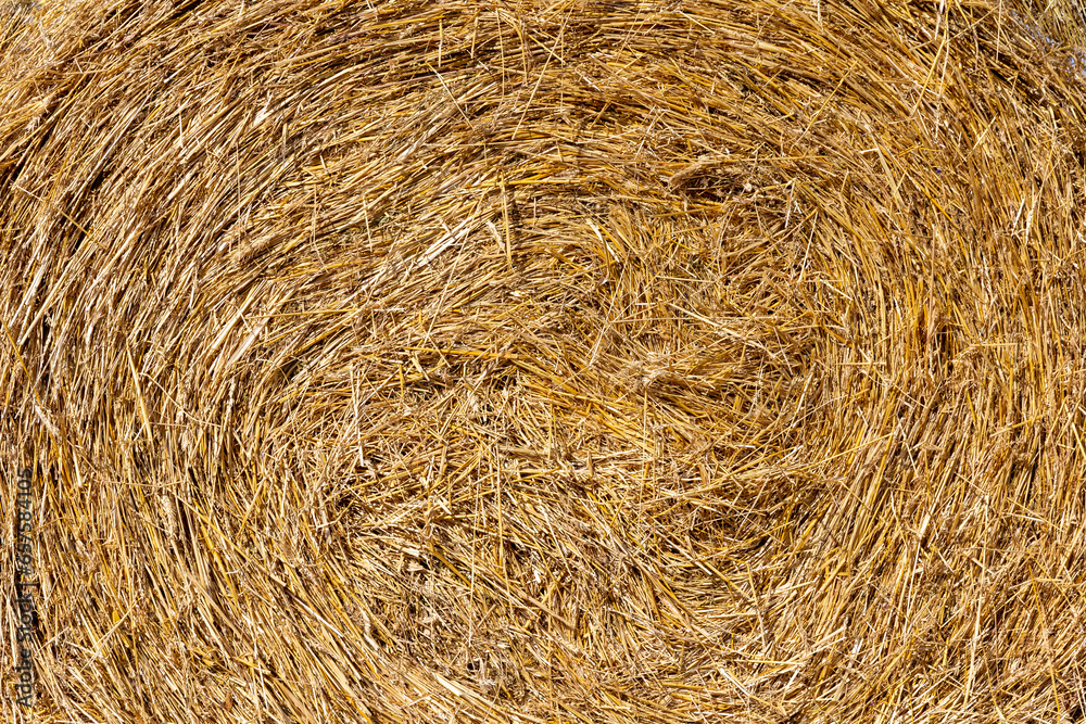 Rural landscape Golden straw texture background, close up Rural landscape Golden straw texture background, close up