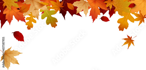 Autumn leaf background decoration border design  png file no background
