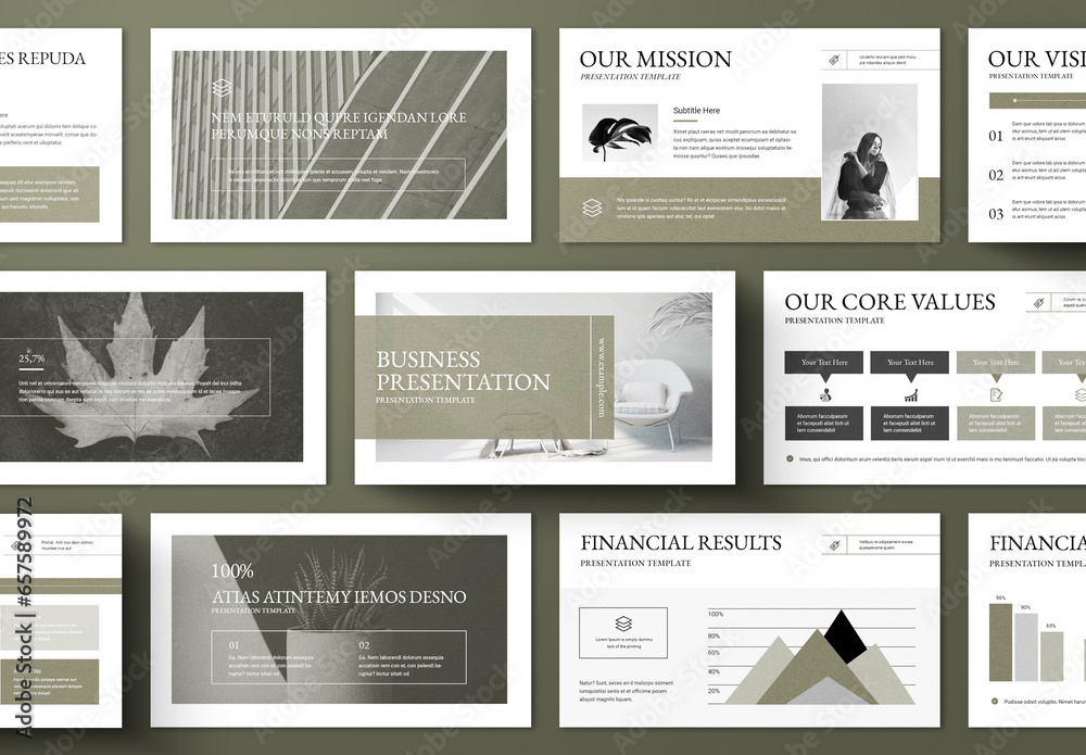 Business Presentation Layout Stock Template | Adobe Stock