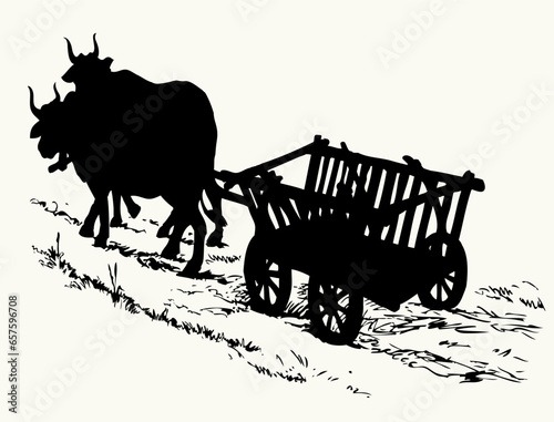 Empty cart drawn by oxen. Vector drawing
