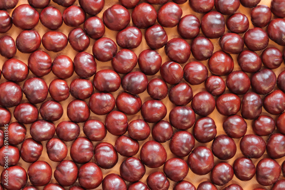 Horse chestnut. Autumn background, chestnuts on an orange background, top view. Chestnuts are laid out in one layer on the table. Texture. Horse chestnuts on one side Horse chestnut. Autumn background, chestnuts on an orange background, top view. Chestnuts are laid out in one layer on the table. Texture. Horse chestnuts on one side