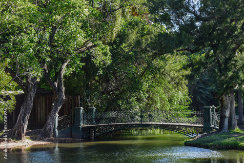 A bridge in the park