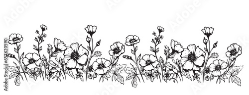 Grass wild flowers border sketch hand drawn sketch Vector