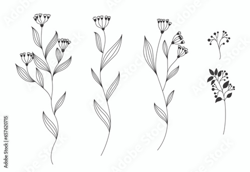 Collection of flowers, plants, twigs in outline style in vector.