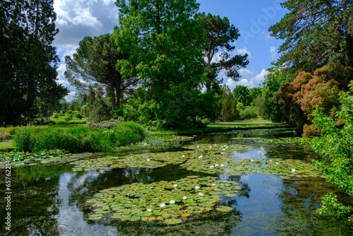Beautiful pond in Cambridge University Botanic Garden. Cambridge, England